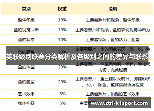 英联级别联赛分类解析及各级别之间的差异与联系