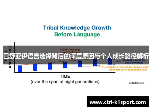 巴舒亚伊语言选择背后的深层原因与个人成长路径解析